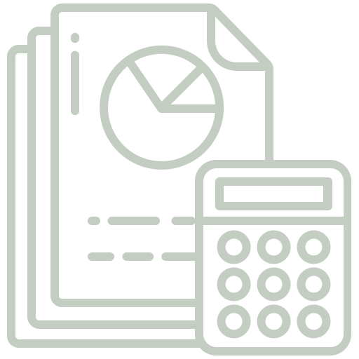 Budget icon