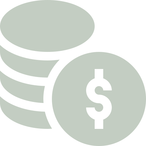 Money icon